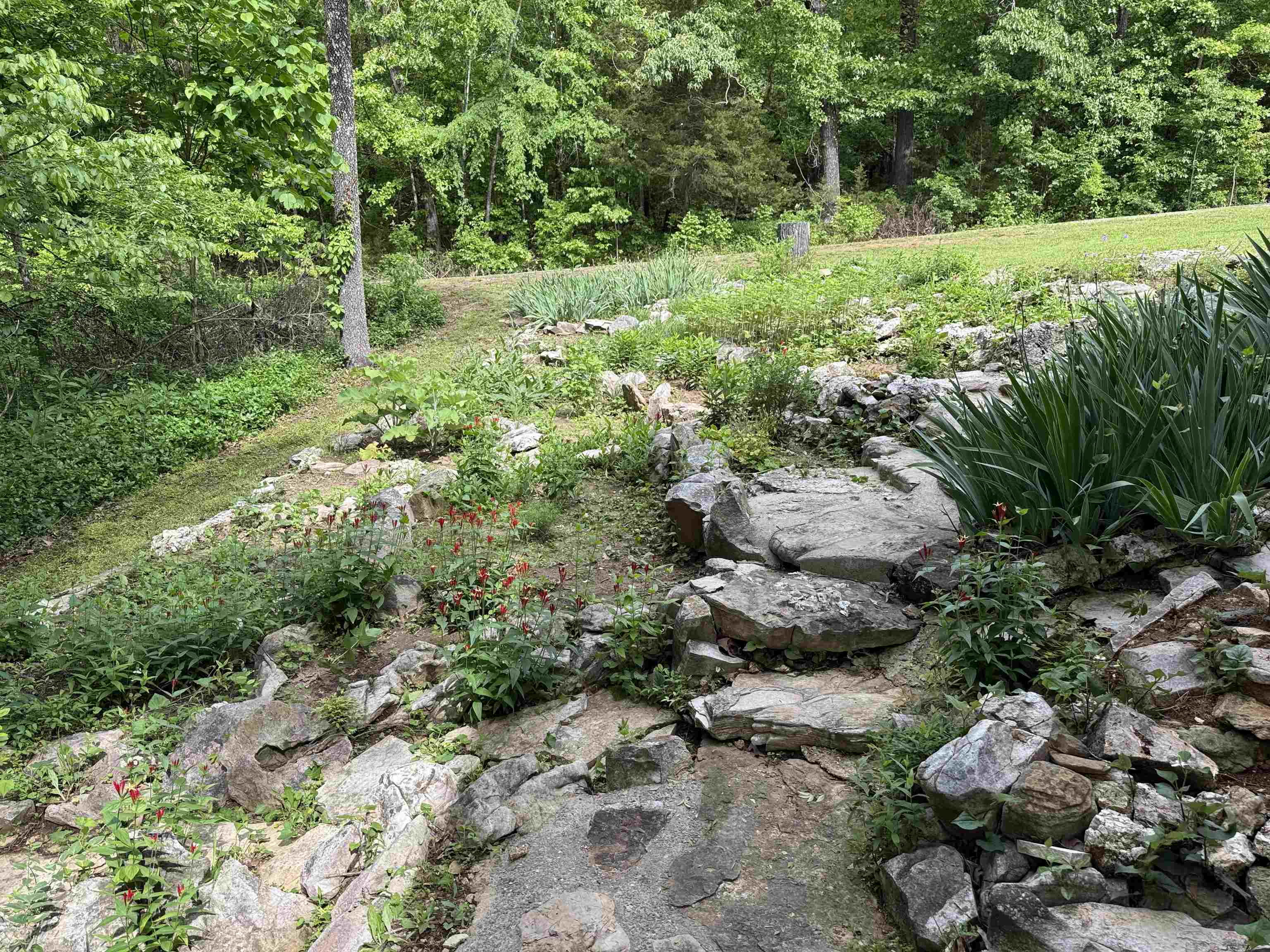 Crow 1st - Residential