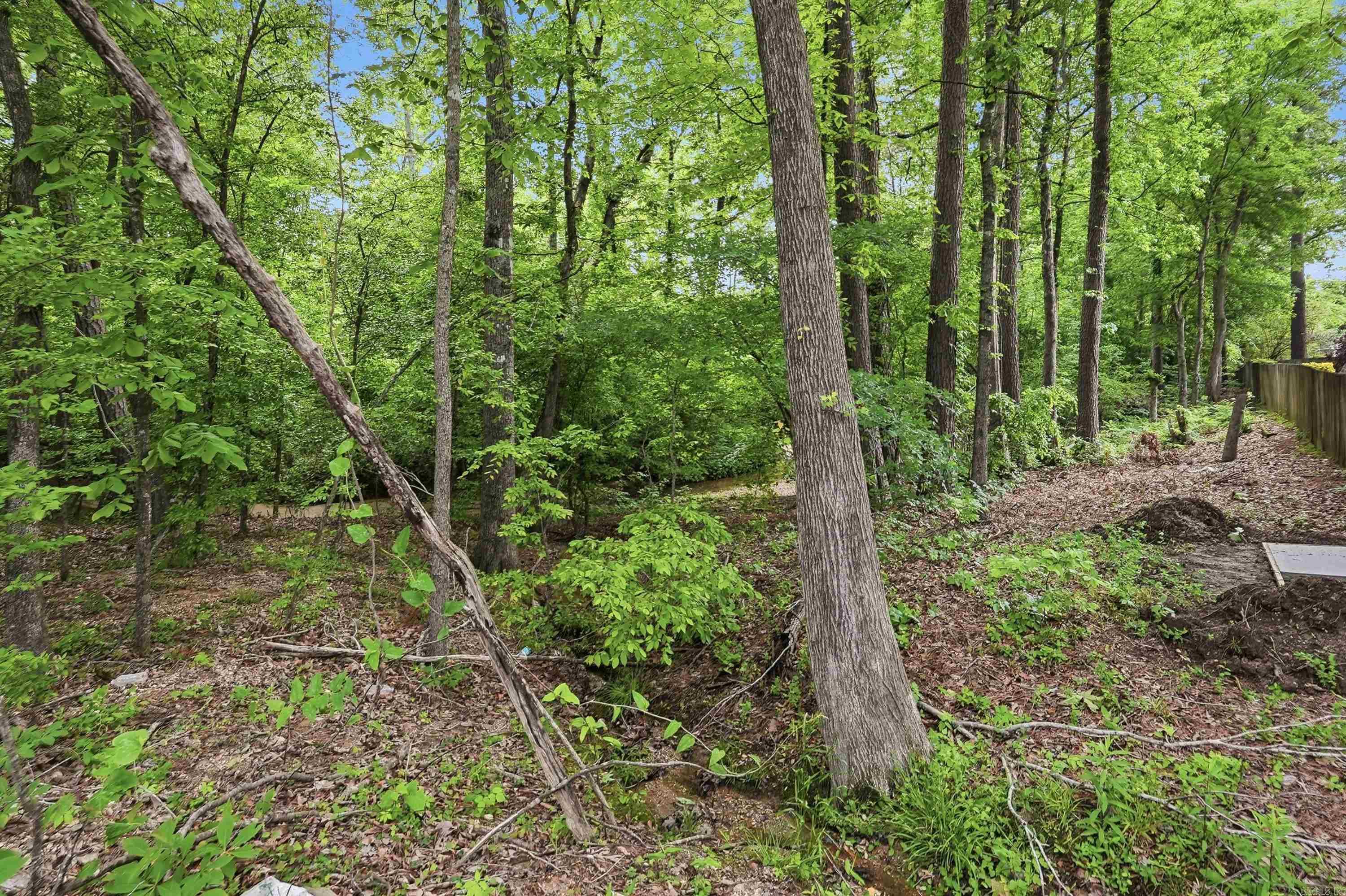 PLEASANT FOREST - Residential