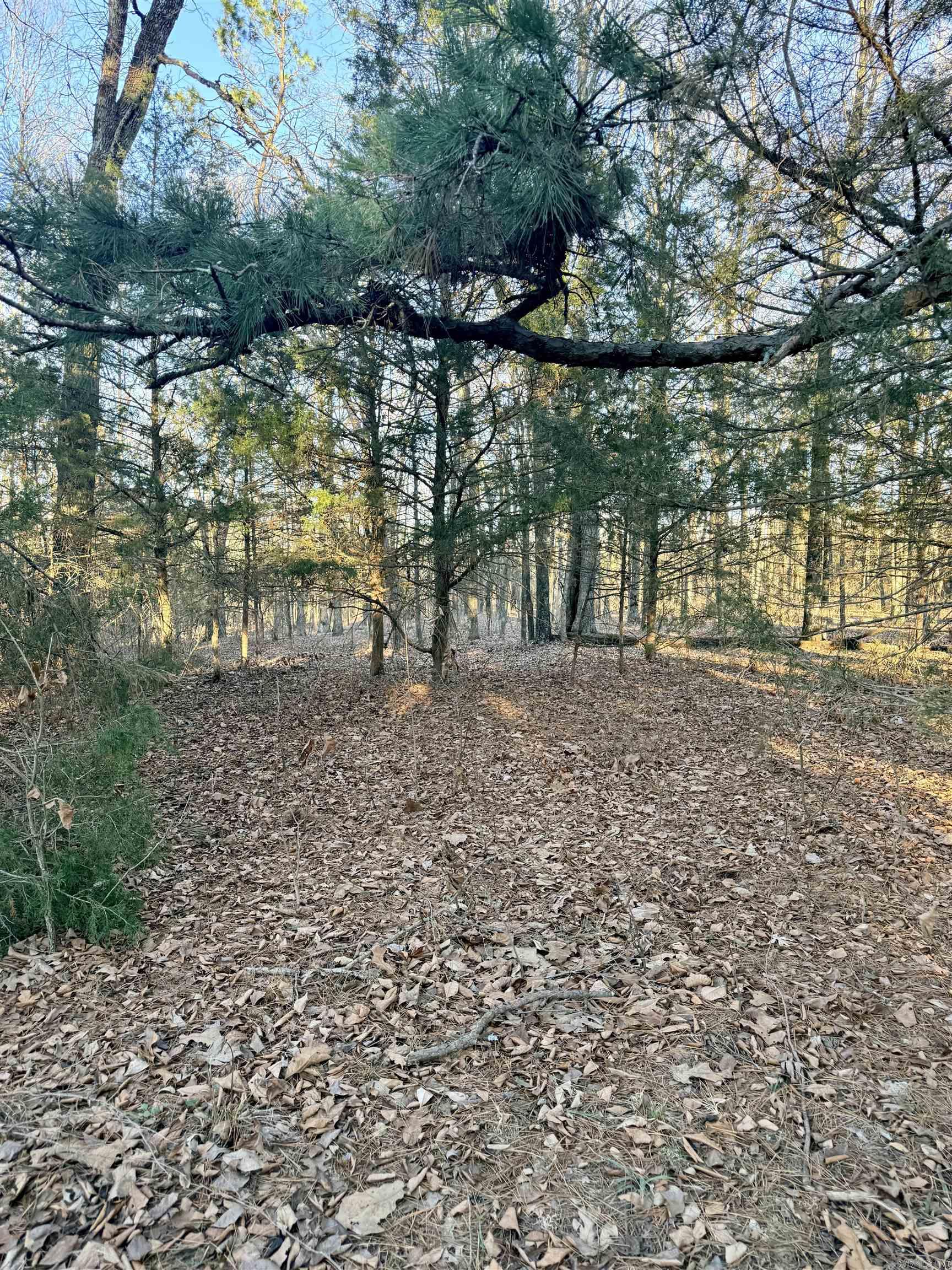 Metes & Bounds - Land