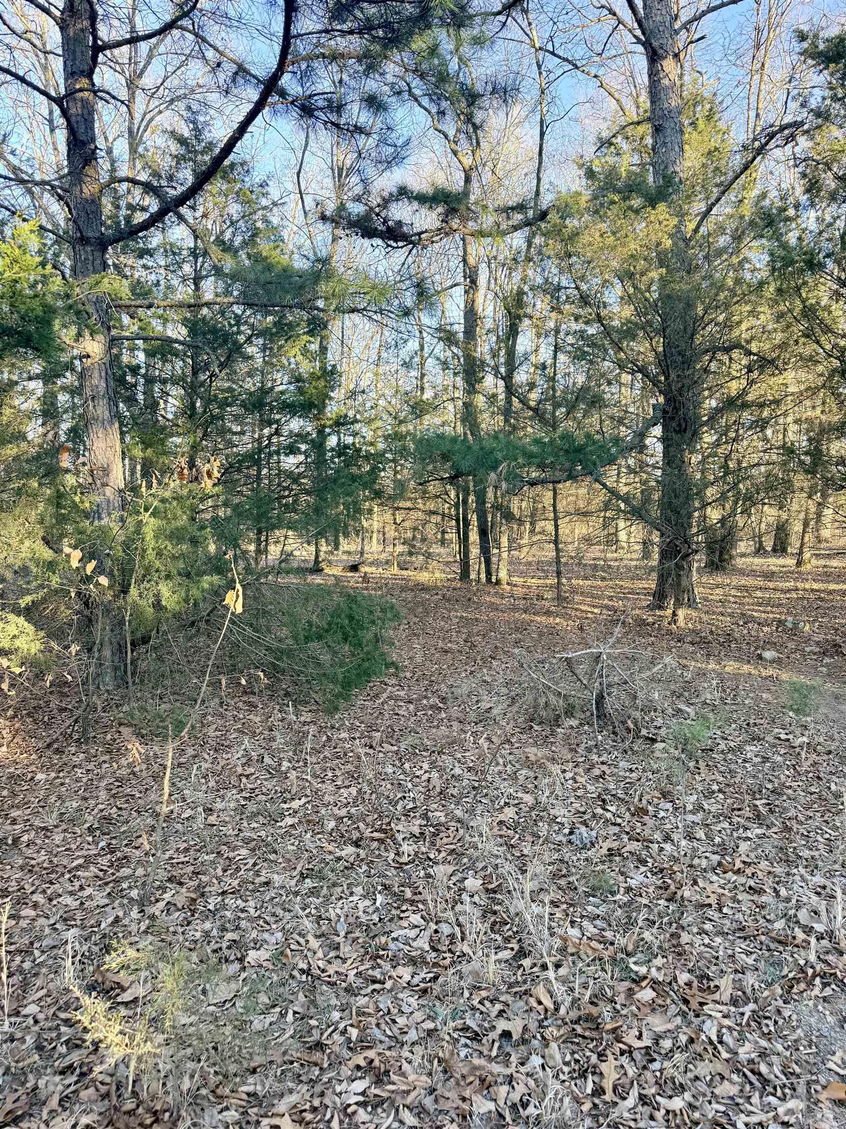 Metes & Bounds - Land