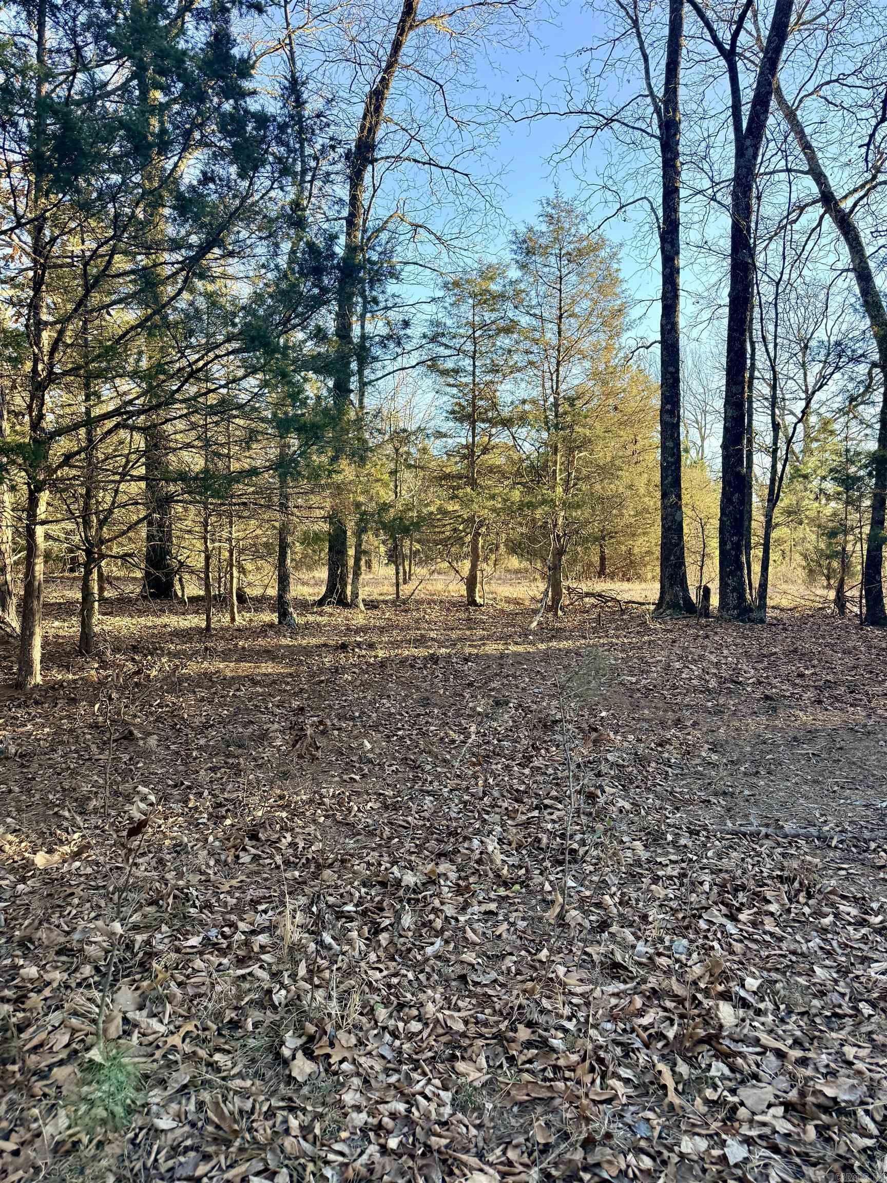 Metes & Bounds - Land