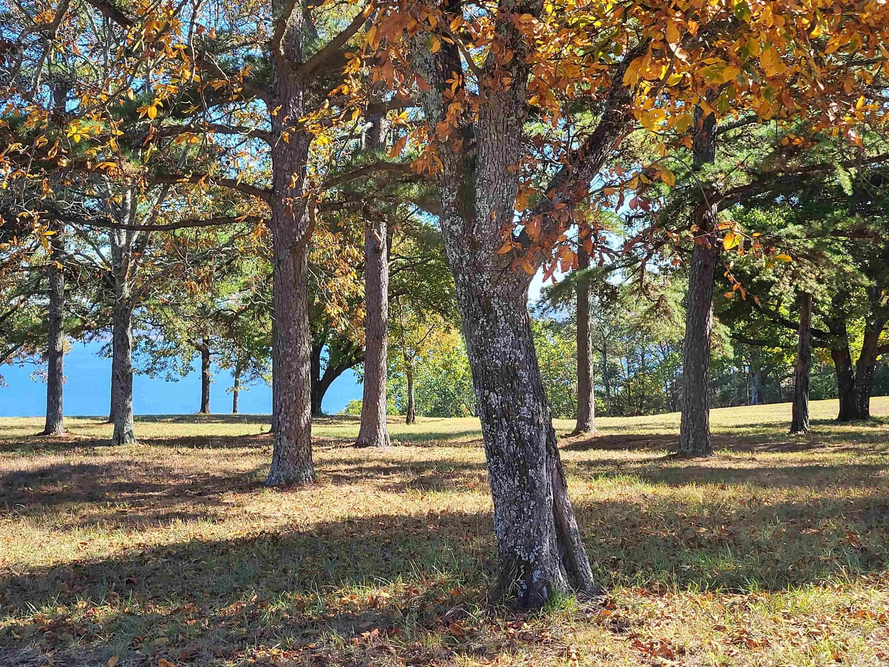 Enchanted Bluff Estates - Land