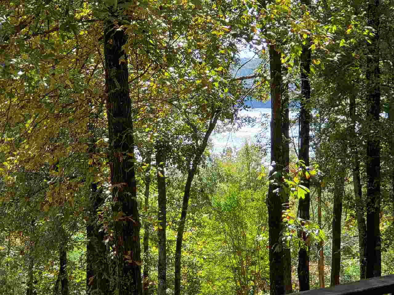 Driftwood Shores Estate - Residential