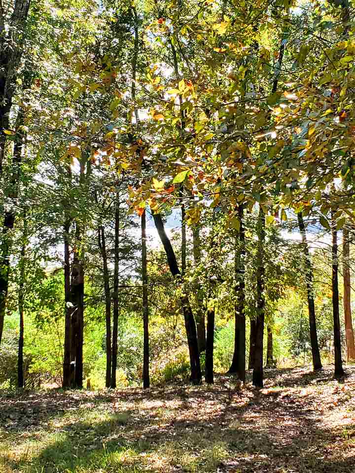 Driftwood Shores Estate - Residential