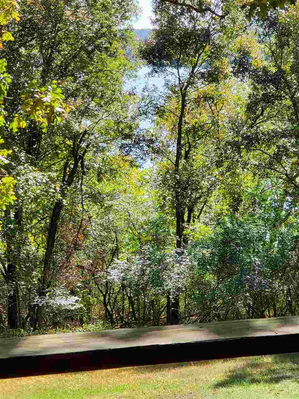 Driftwood Shores Estate - Residential