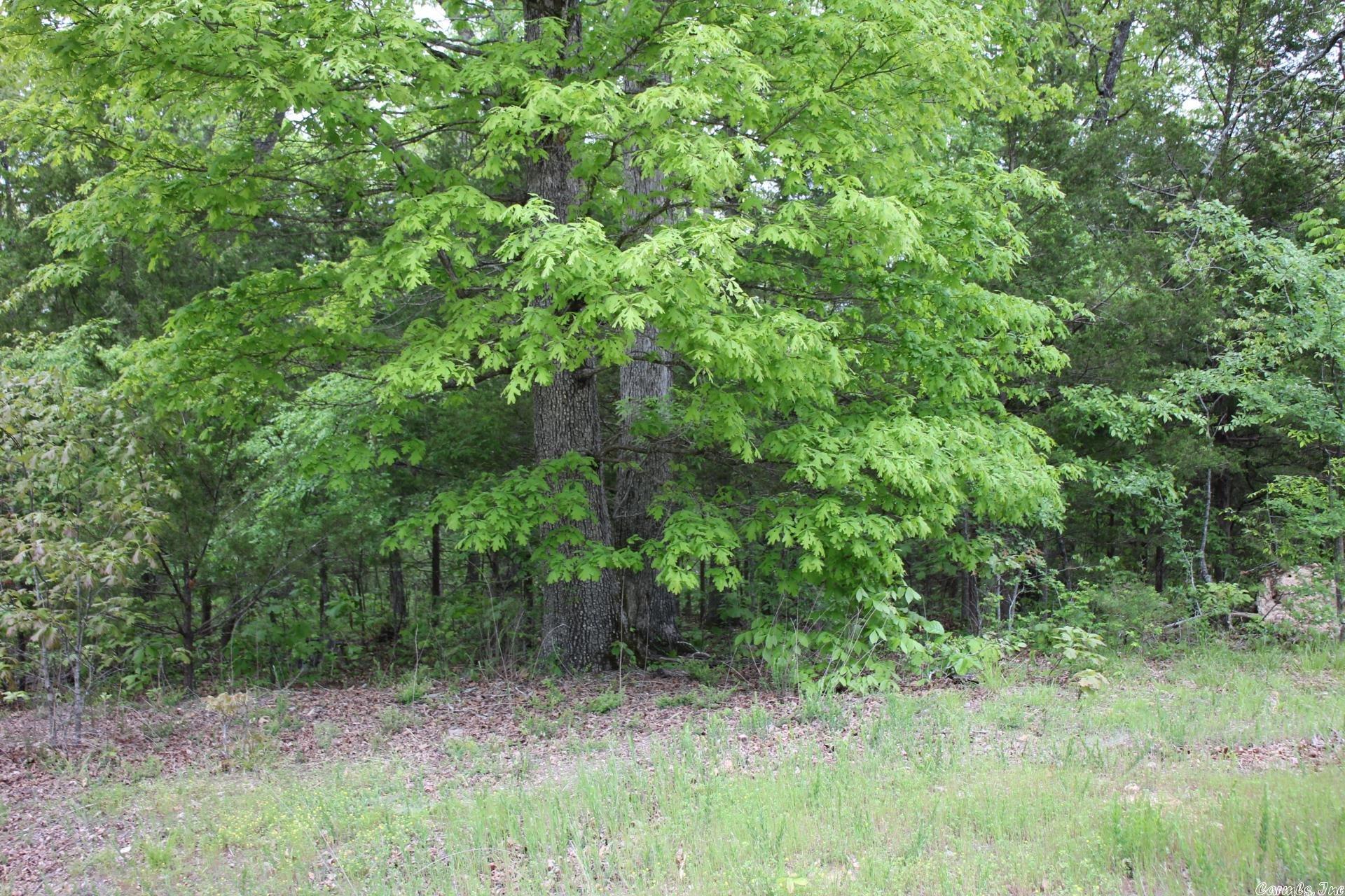 Strawberry Fields - Land