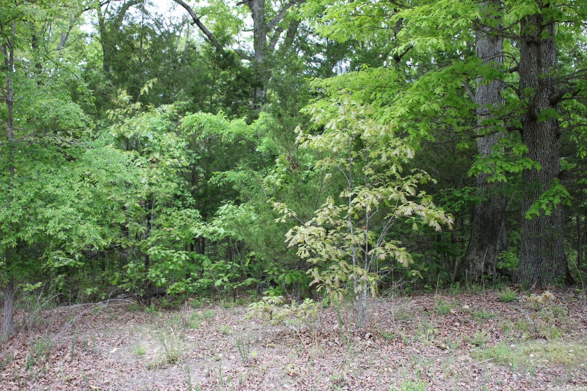 Strawberry Fields - Land