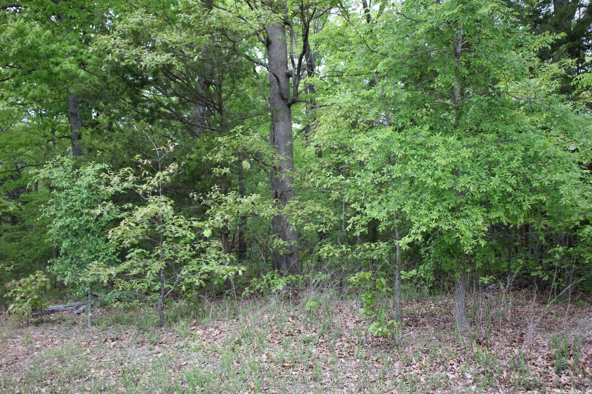 Strawberry Fields - Land