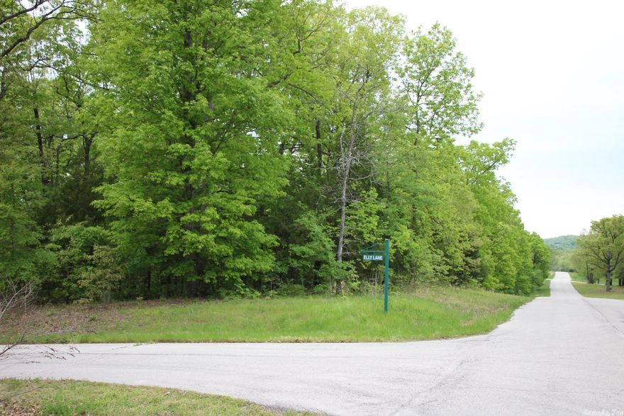 Beautiful corner lot with big trees, underground utilities and city water. Newer subdivision with nice homes. Minutes to Bull Shoals Lake access and only 5 minutes to White River access. Close to town with country views. About 1/2 the lot is level, has gentle slope, perfect for walk out basement.