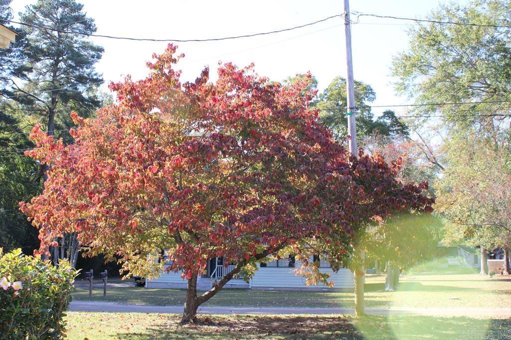 NORTH HEIGHTS GARDEN - Residential