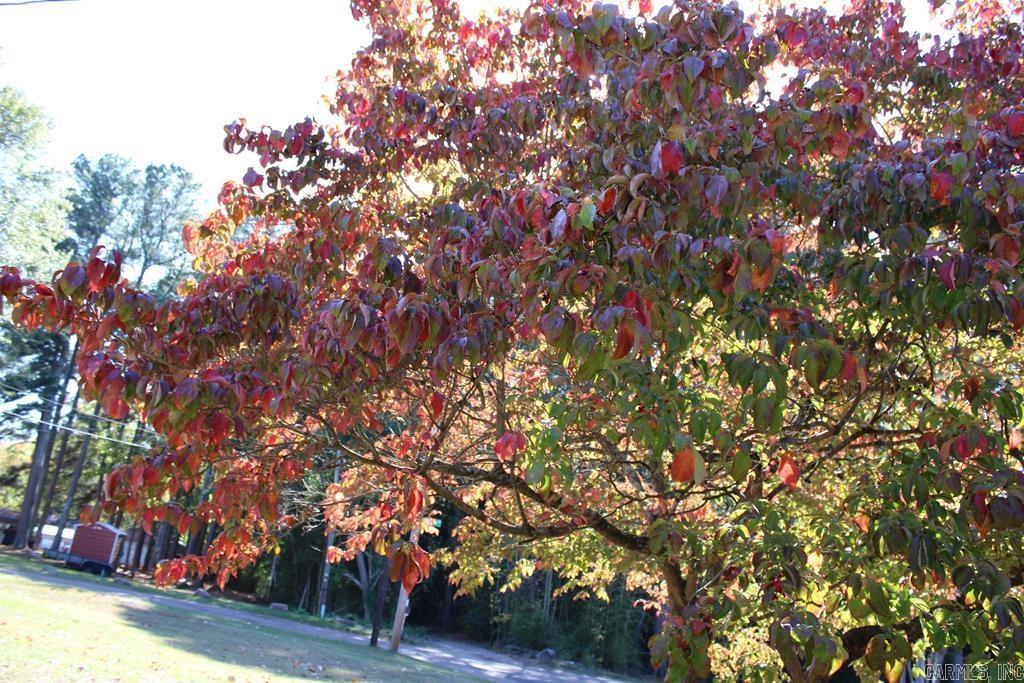 NORTH HEIGHTS GARDEN - Residential