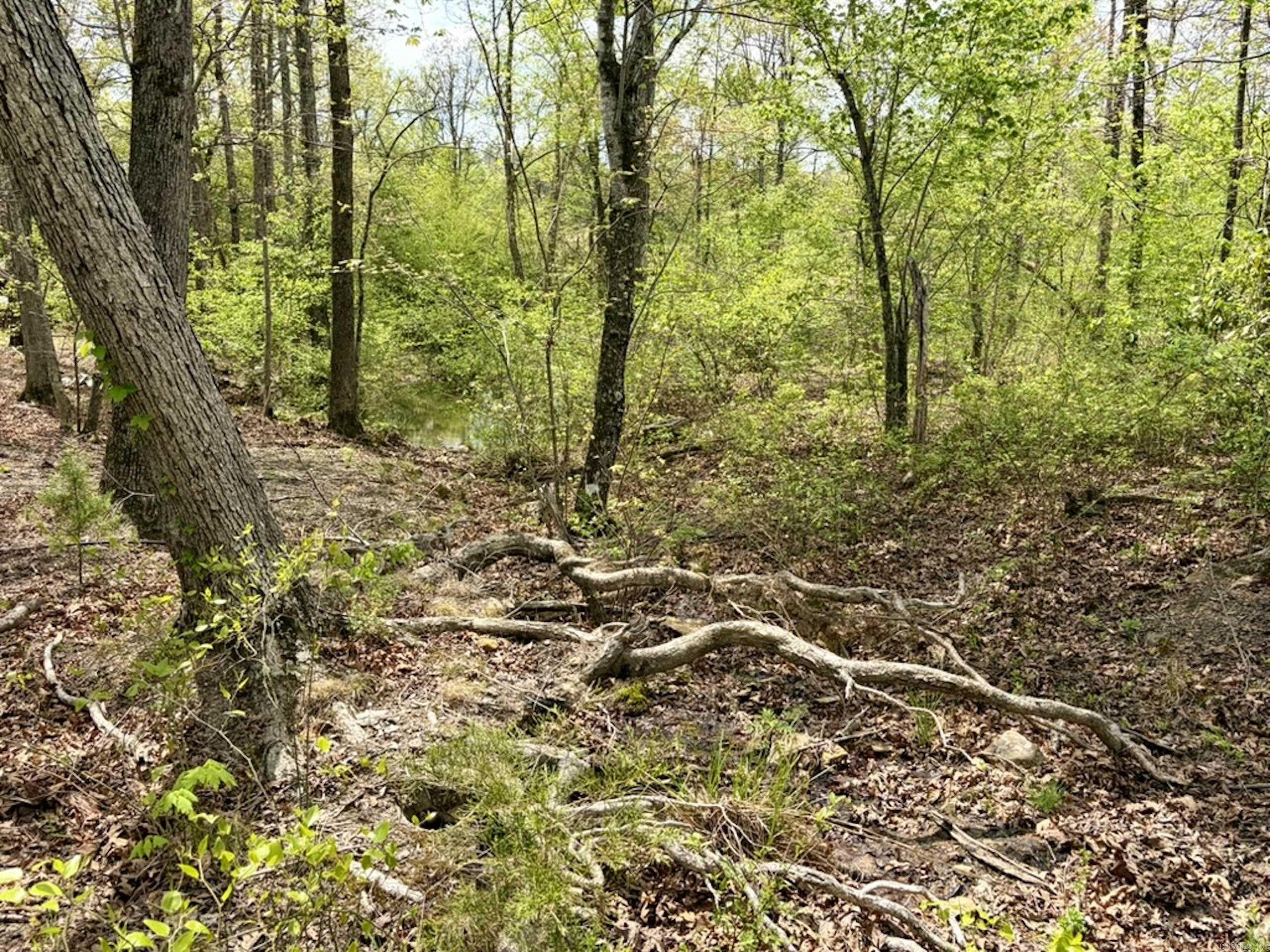 Not in Subdivision - Land