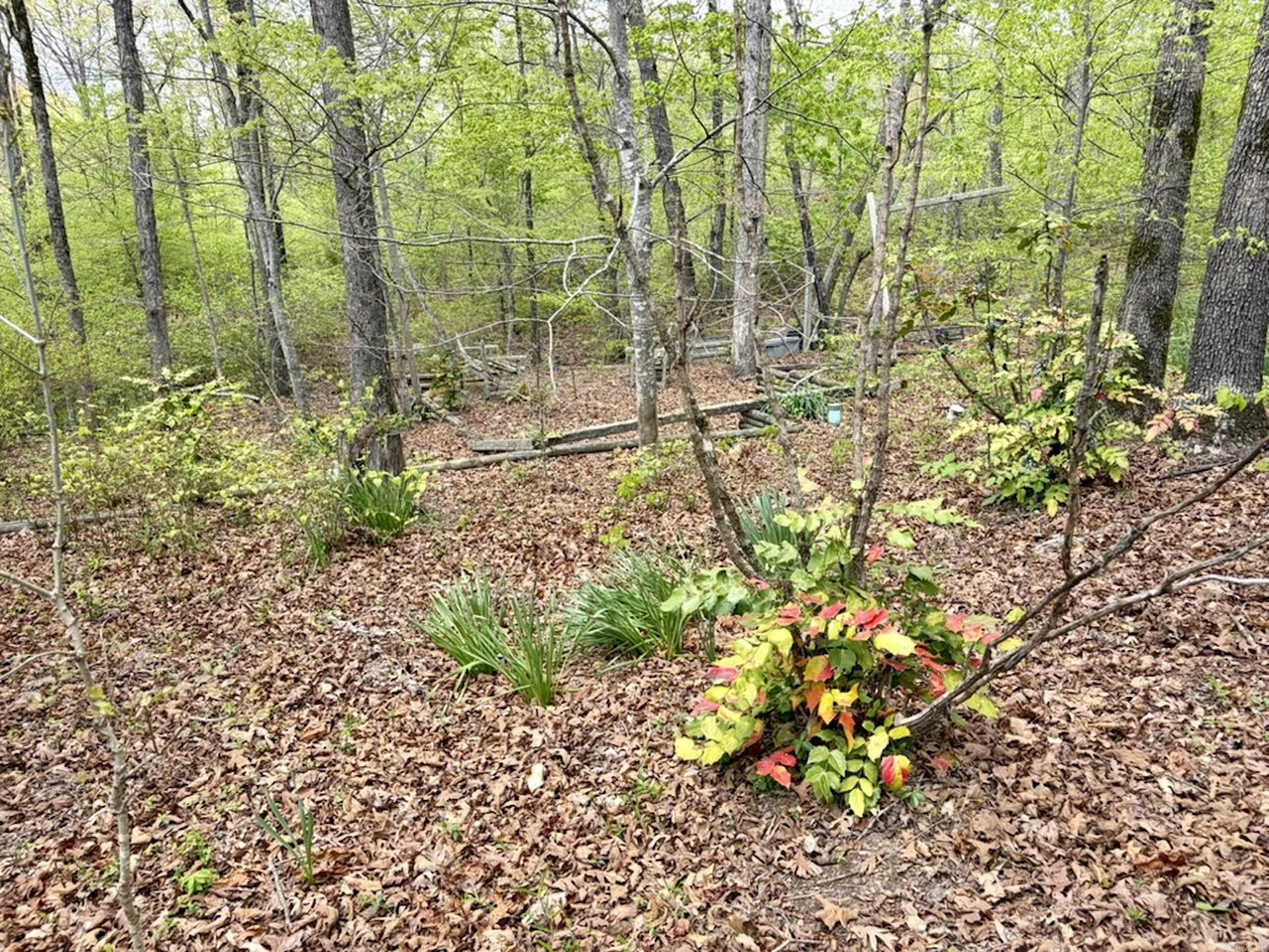 Not in Subdivision - Land