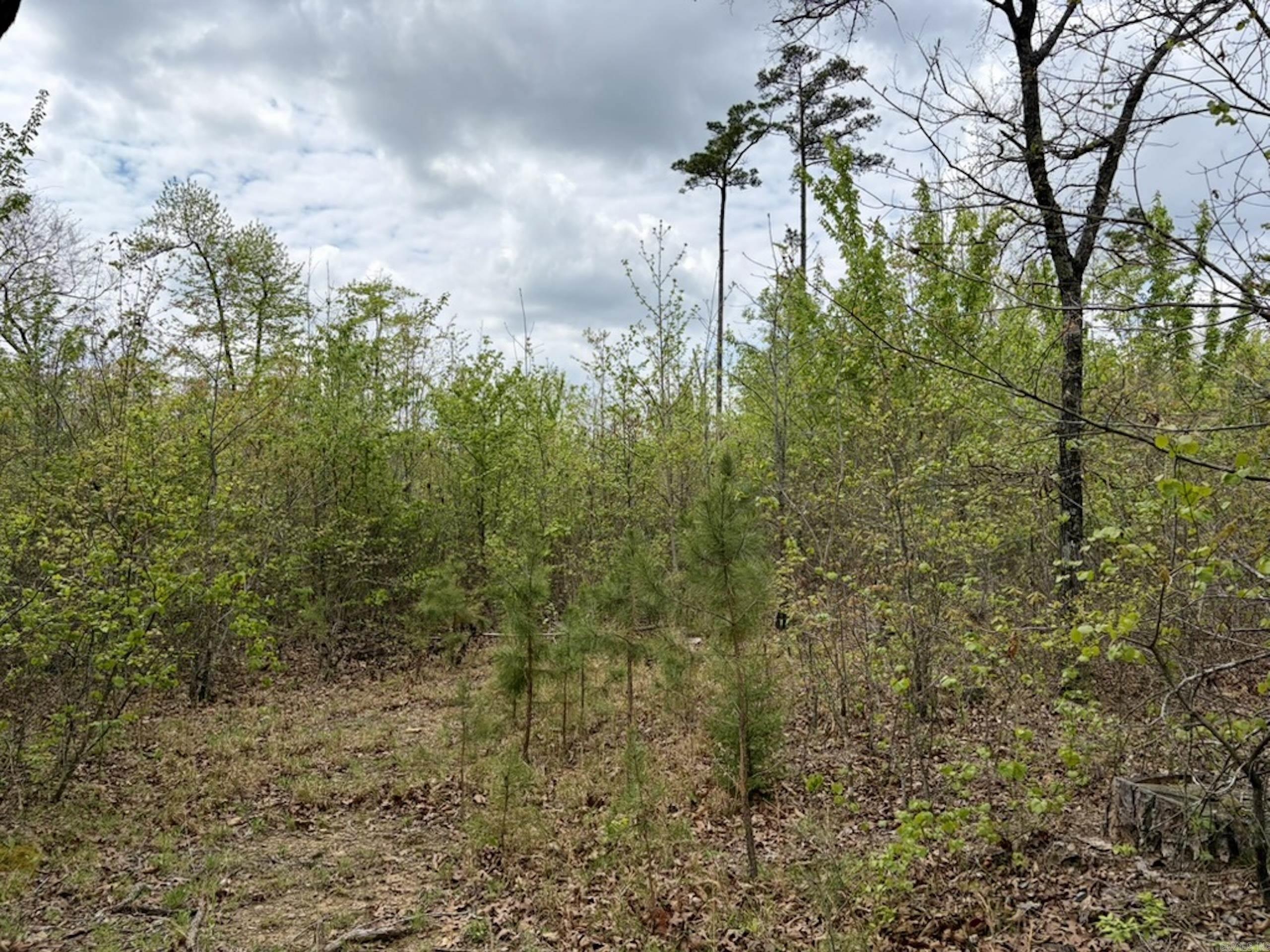 Not in Subdivision - Land