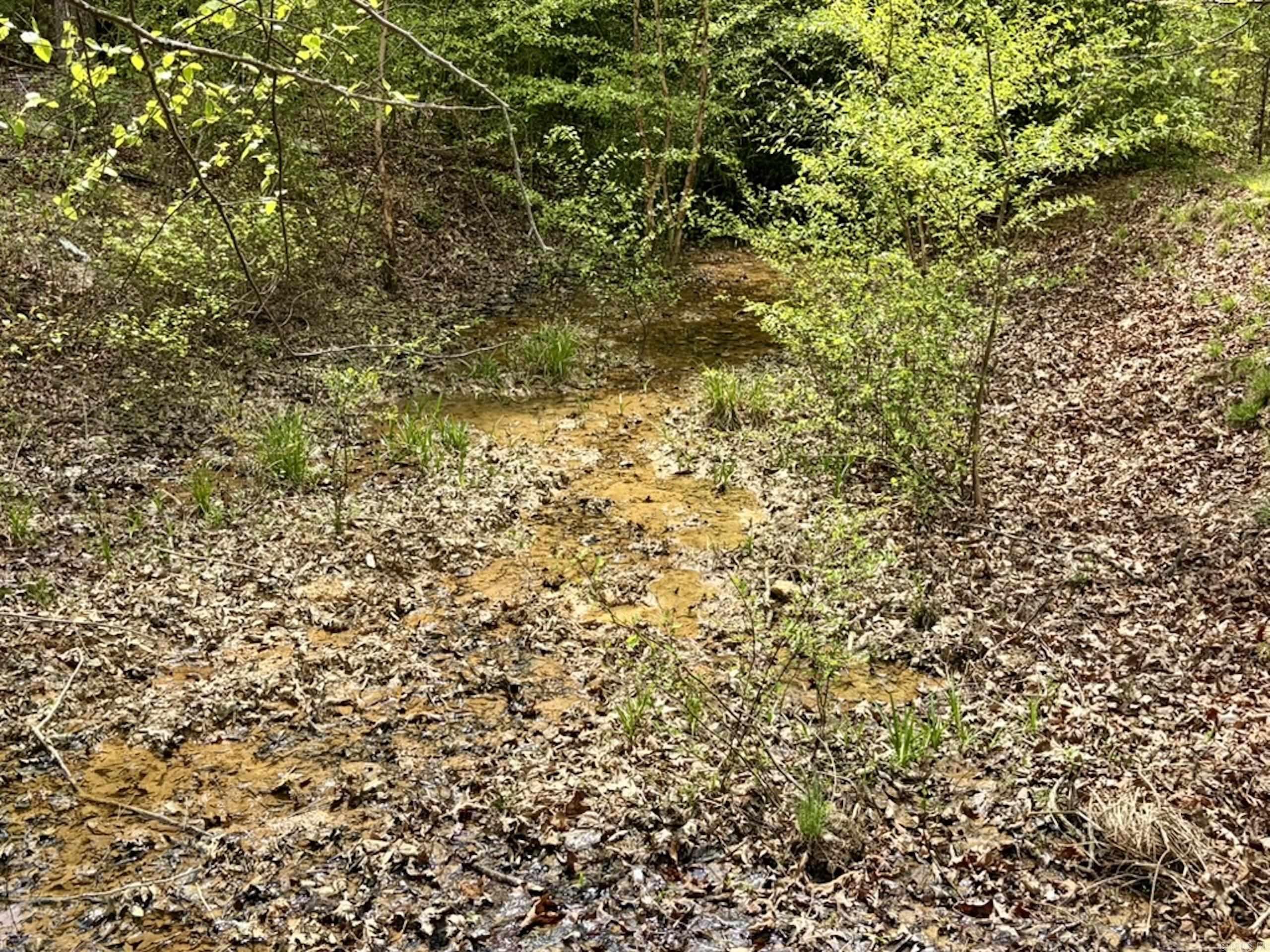 Not in Subdivision - Land