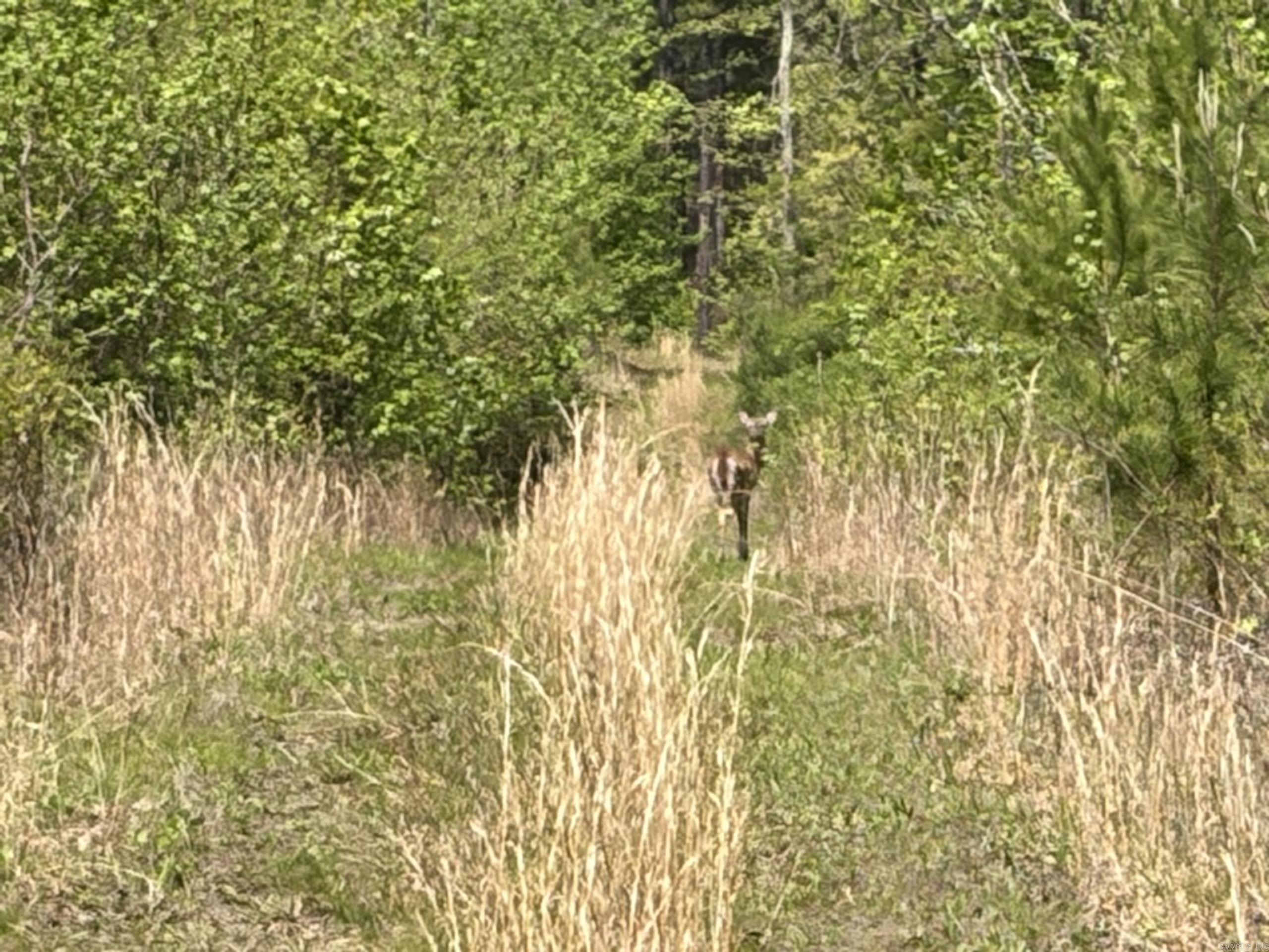 Not in Subdivision - Land