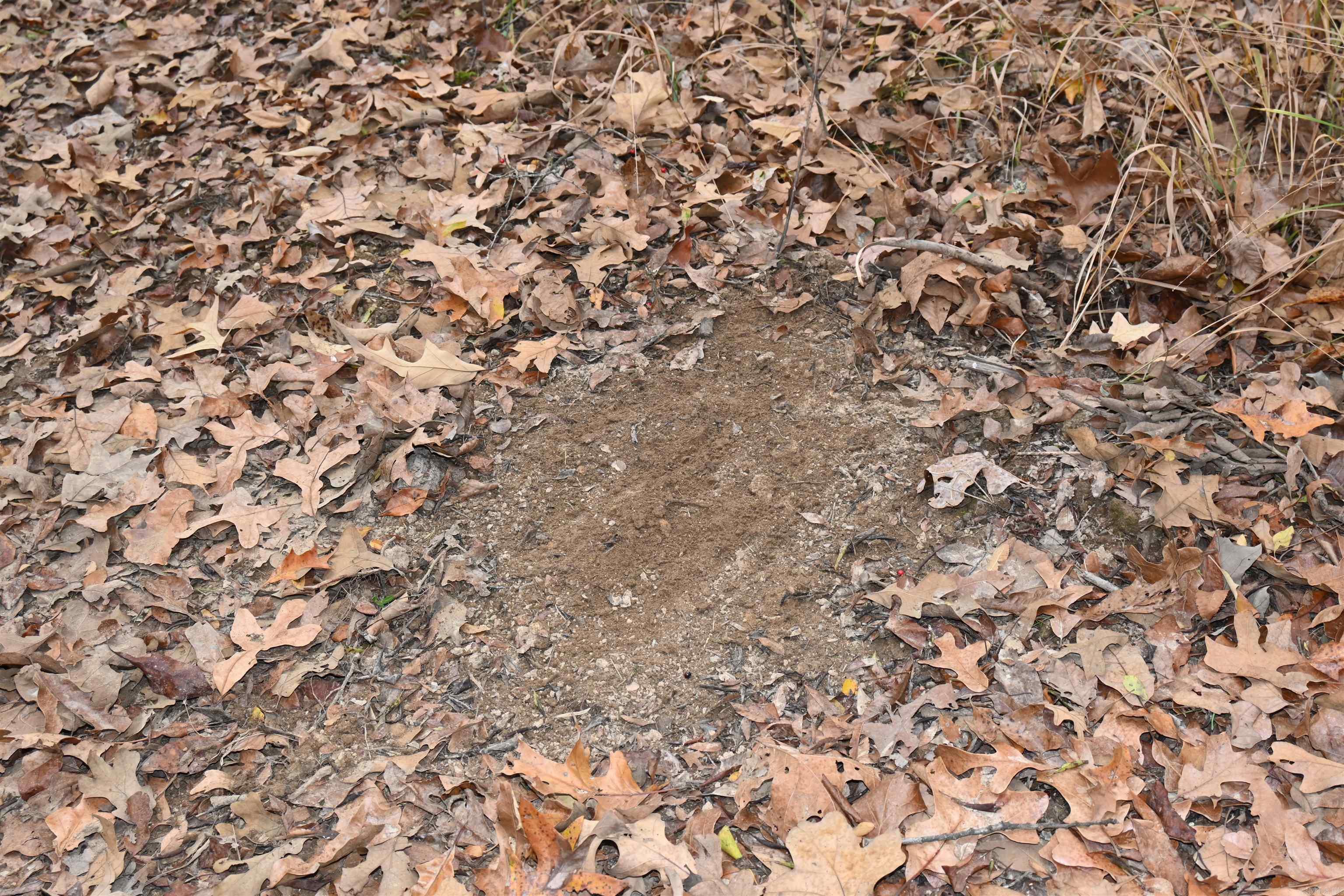 DAVAC ACRES - Residential