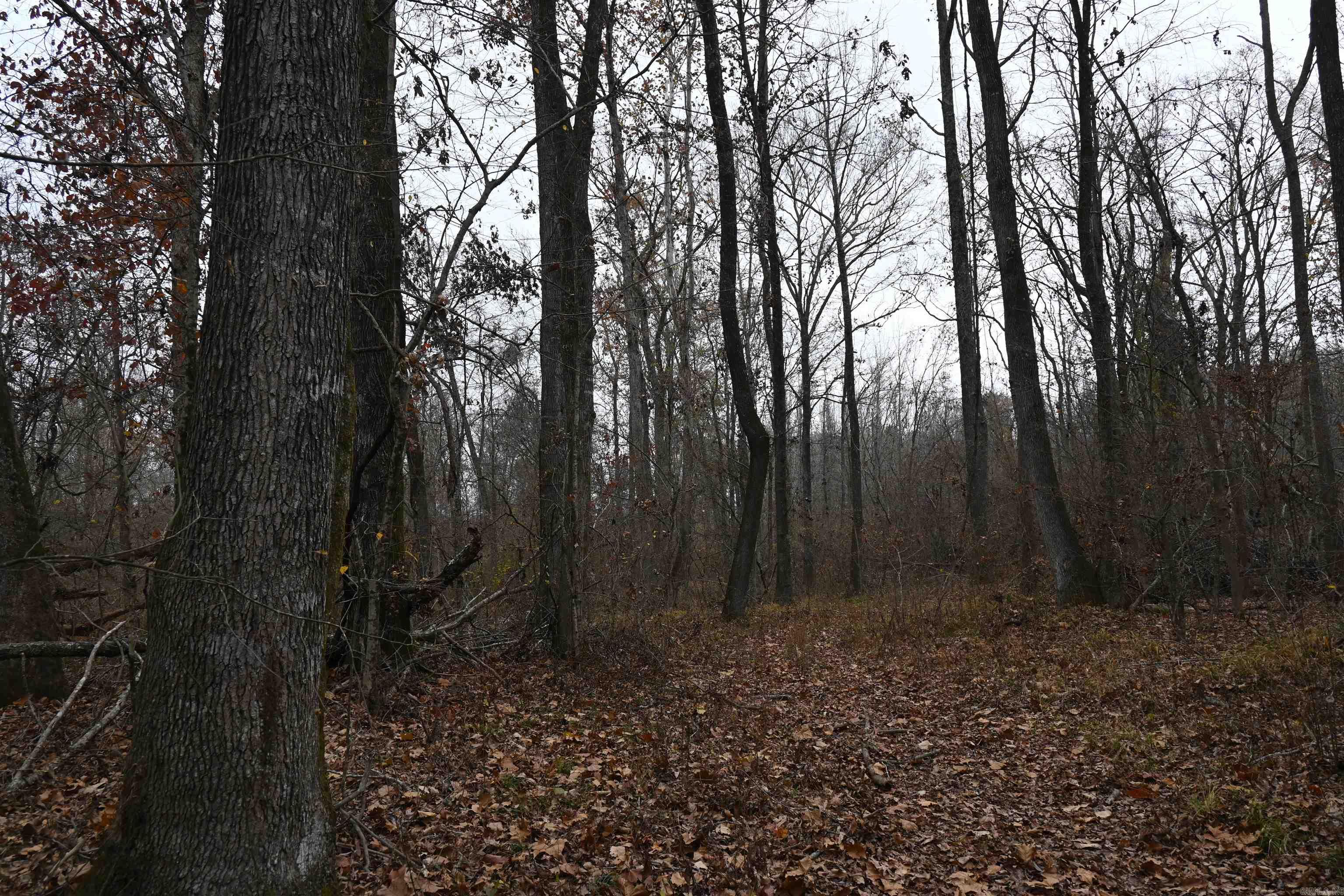 DAVAC ACRES - Residential