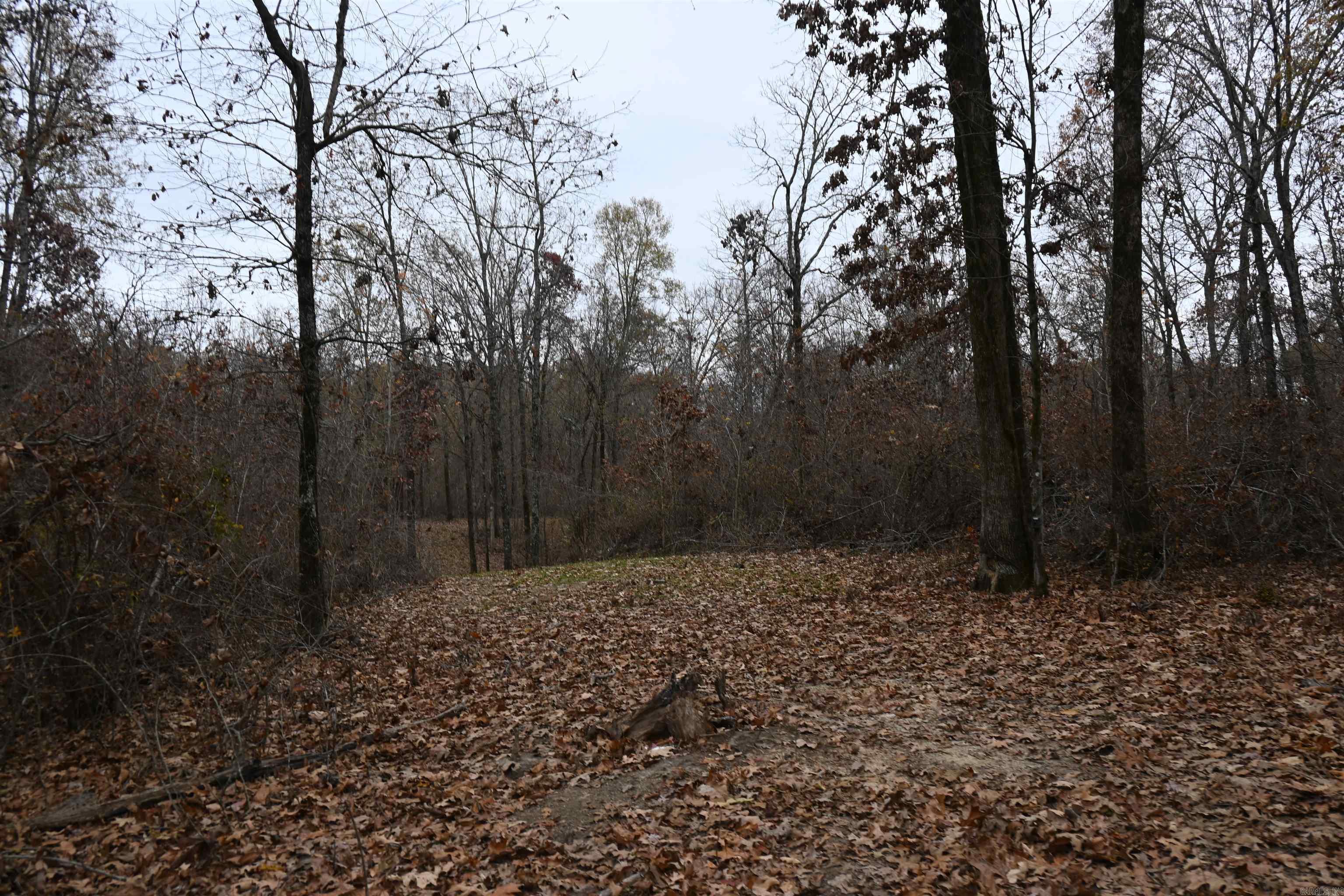 DAVAC ACRES - Residential