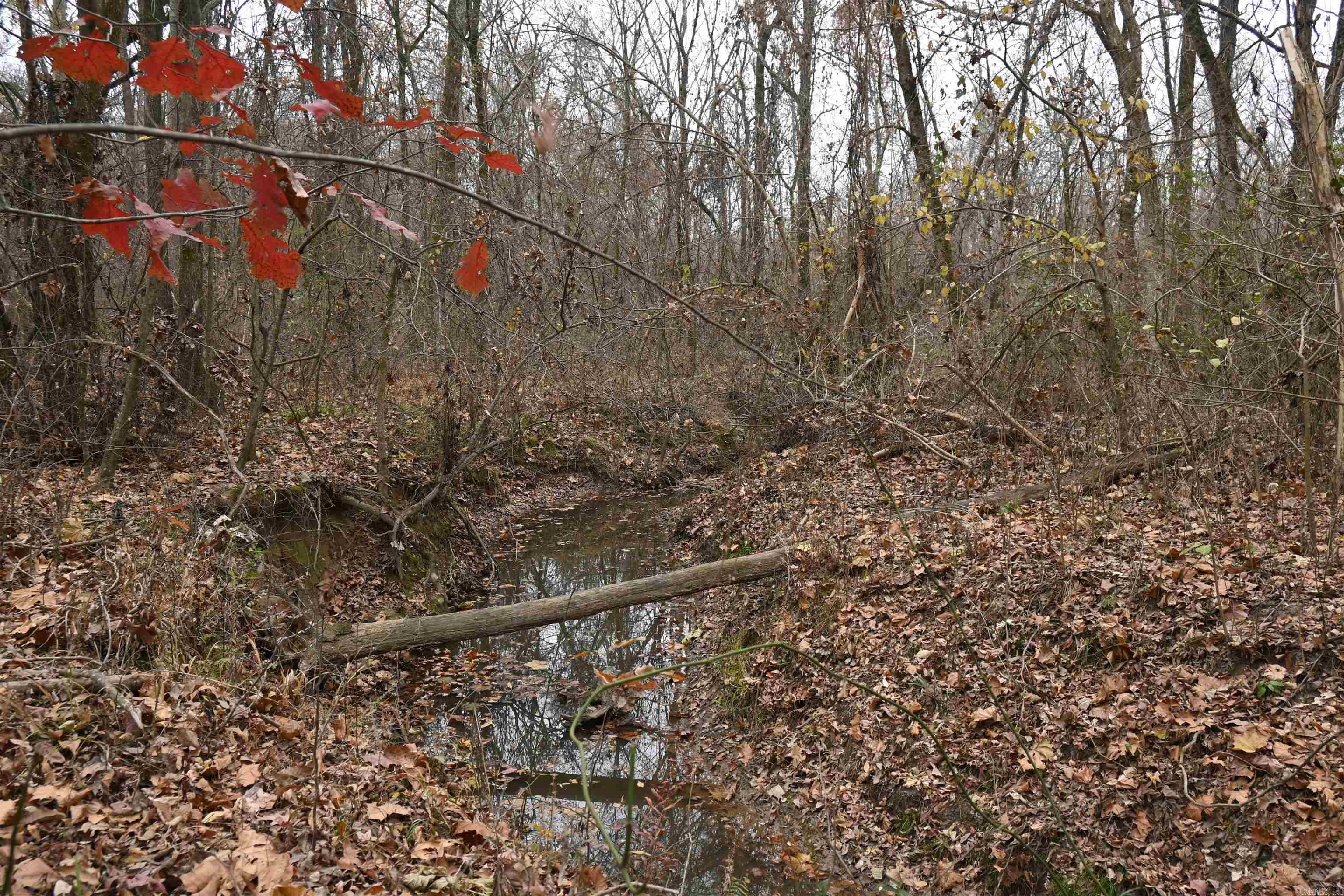 DAVAC ACRES - Residential