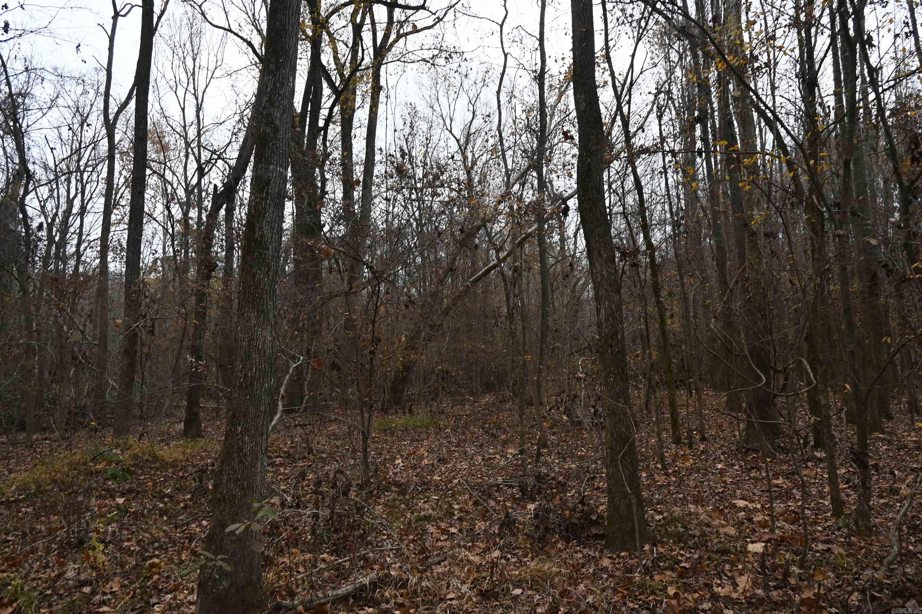 DAVAC ACRES - Residential