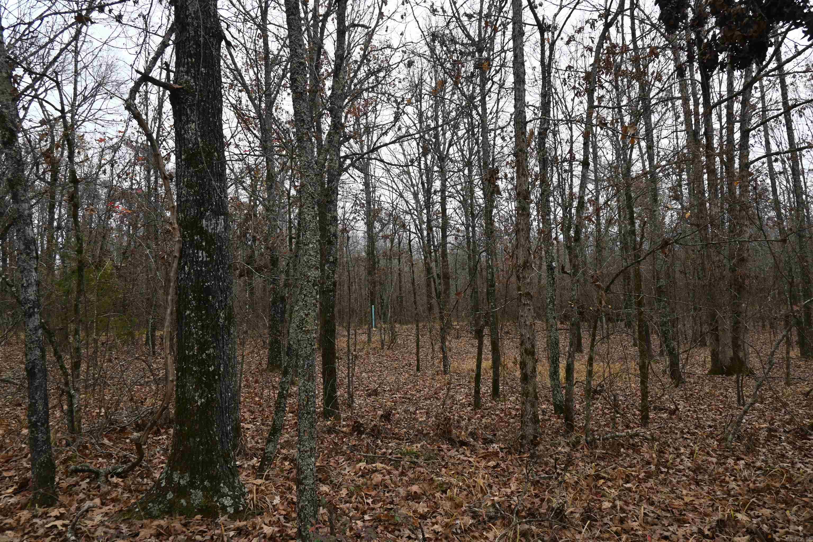 DAVAC ACRES - Residential