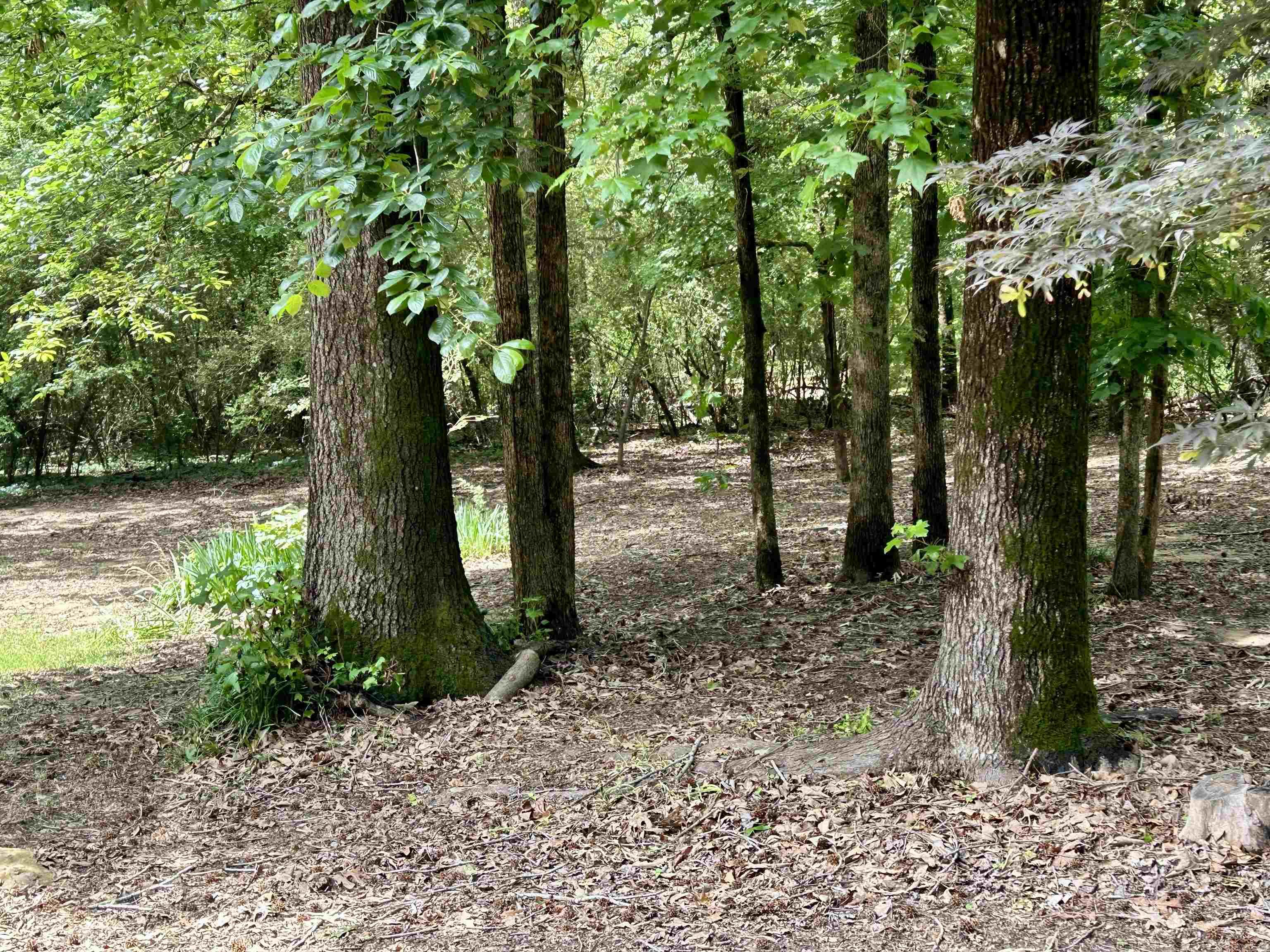 COUNTRY CLUB EAST ADD (SEARCY) - Residential