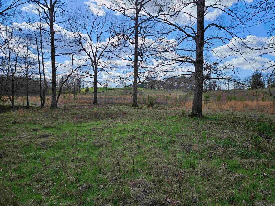 This vacant land near Delight, AR, offers a blend of pastoral beauty and natural amenities. With open pastures, hardwood trees, and a meandering creek, it provides a picturesque setting for various activities like agriculture or recreation. Partial fencing and good road frontage add practicality, while its proximity to Lake Greeson and The Diamond Mine in Mufreesboro enhances its appeal for both leisure and investment opportunities. Abundant wildlife further enriches the experience, making this land a promising canvas for diverse pursuits in a tranquil countryside setting.