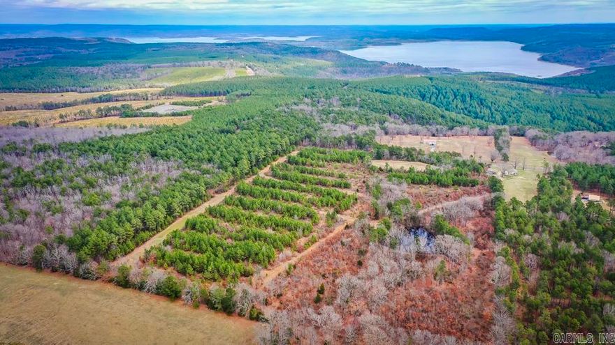Discover the perfect canvas for your dreams with this exceptional 13-acre parcel of land nestled in the picturesque surroundings near Greers Ferry Lake, Arkansas. Whether you're seeking a tranquil retreat, an investment opportunity, or a place to build your dream home, this expansive plot offers endless possibilities.  Situated in close proximity to the stunning Greers Ferry Lake, renowned for its crystal-clear waters and breathtaking scenery, this land provides the ideal setting for outdoor enthusiasts and nature lovers alike. Embrace the beauty of the Arkansas landscape, with rolling hills, lush foliage, and tranquil surroundings offering a serene backdrop for relaxation and recreation. While enjoying the peace and seclusion of rural living, you're still conveniently close to essential amenities, including shopping, dining, entertainment, and recreational activities. Whether you're an avid angler, water sports enthusiast, or simply enjoy exploring the great outdoors, Greers Ferry Lake and its surrounding area offer a wealth of recreational opportunities, ensuring endless enjoyment for years to come. Don't miss out on this rare chance to own a piece of paradise.