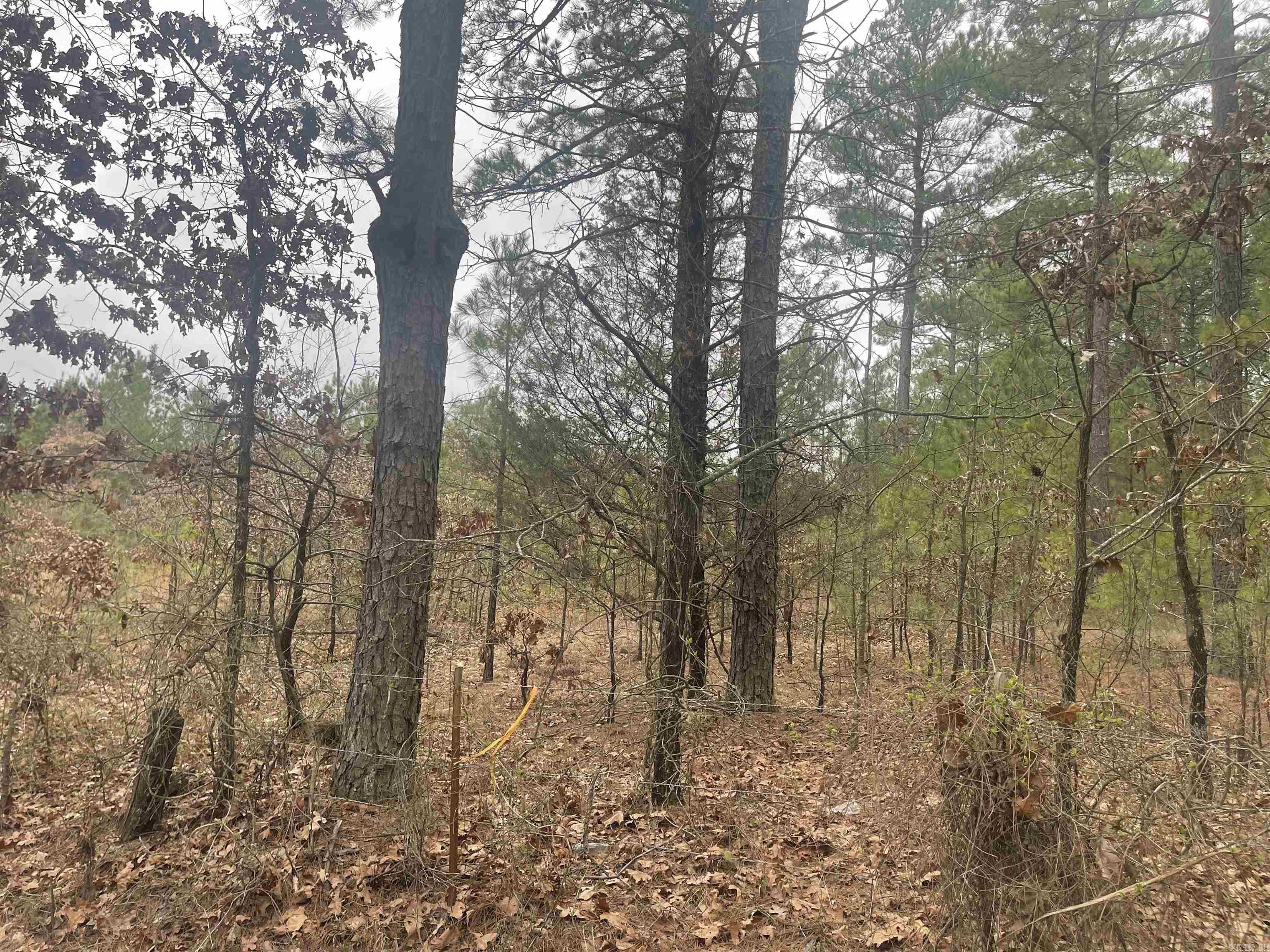 Metes & Bounds - Land