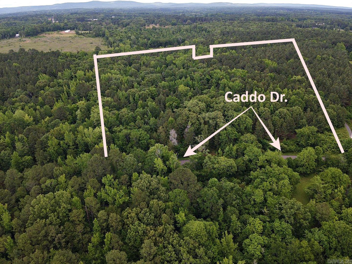 This is a one-of-a-kind tract of land on the beautiful Caddo Drive in Bismarck. This property has been in the same family for years. Pines and hardwoods bring the timber estimate to over $40k ready to be harvested. There is an old homeplace on the property as well. This will make a great family retreat or farm, no building restrictions in this area. Minutes from Caddo Drive and Edgewood boat ramps on Lake Degray. Call or text today to view this property.