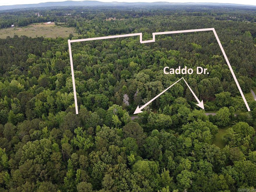 This is a one-of-a-kind tract of land on the beautiful Caddo Drive in Bismarck.  This property has been in the same family for years.  Pines and hardwoods bring the timber estimate to over $40k ready to be harvested.  There is an old homeplace on the property as well. This will make a great family retreat or farm, no building restrictions in this area.  Minutes from Caddo Drive and Edgewood boat ramps on Lake Degray. Call or text today to view this property.