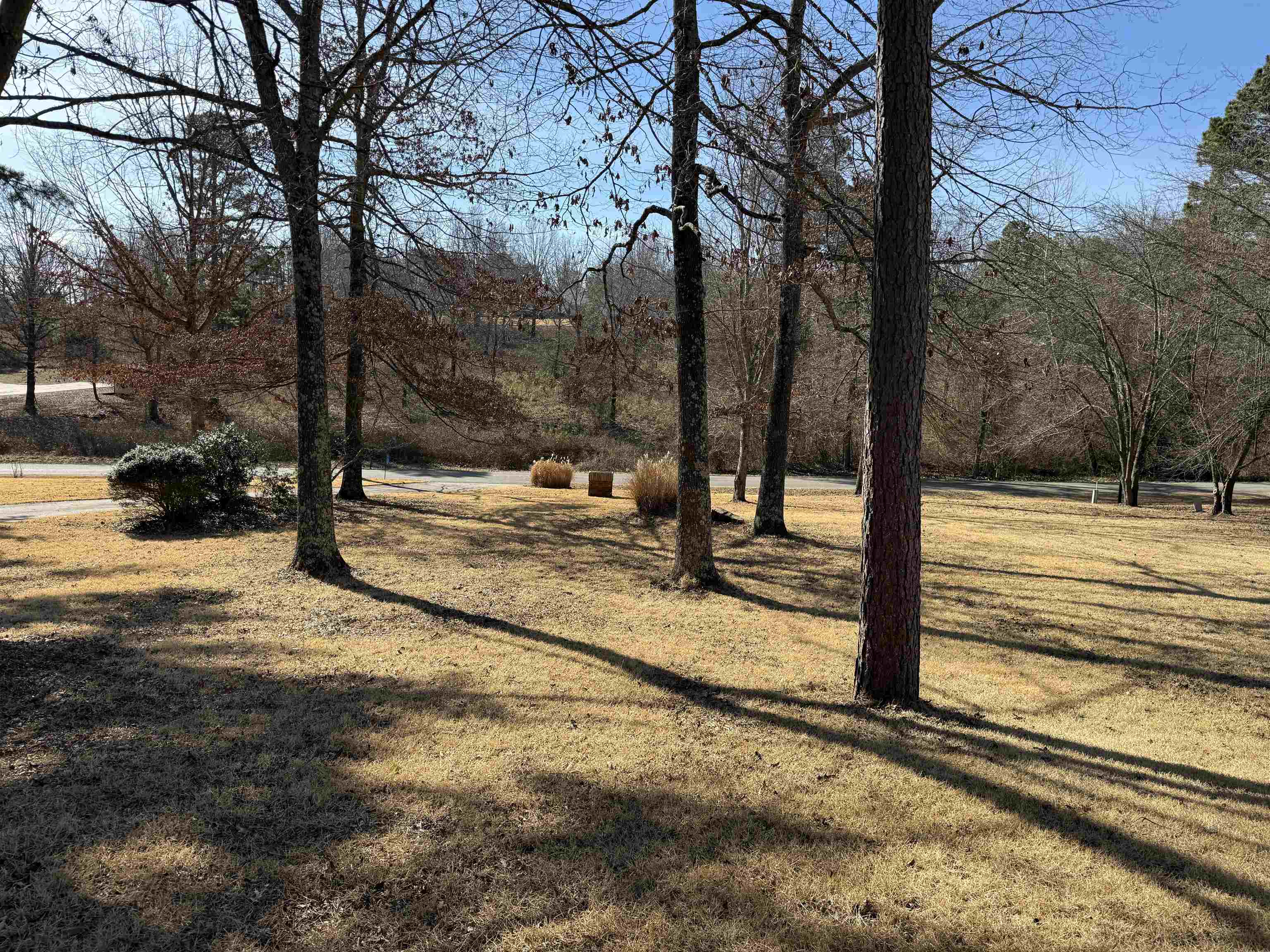 ASHLEY WOODS - Residential