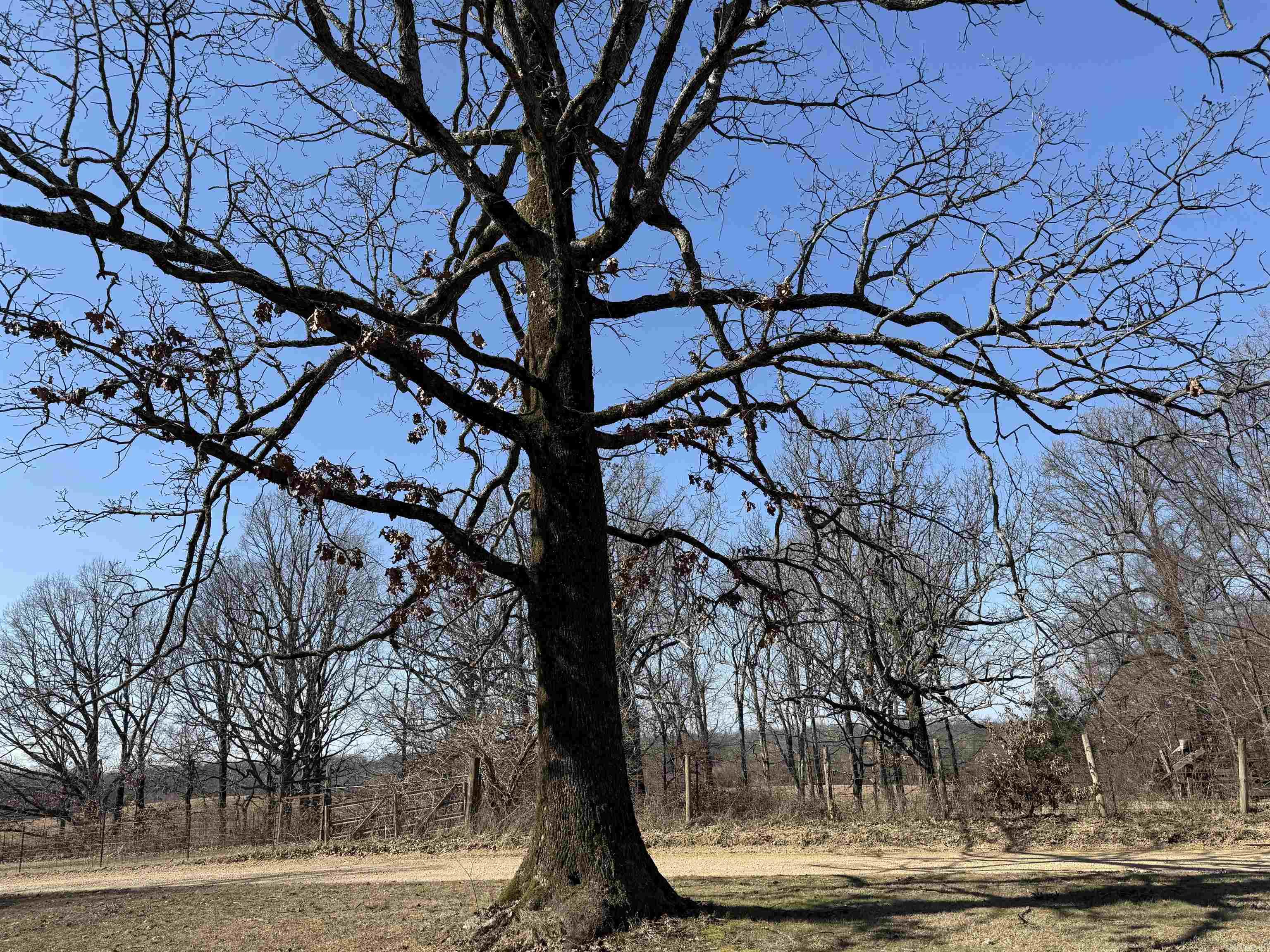 COUNTY - Residential