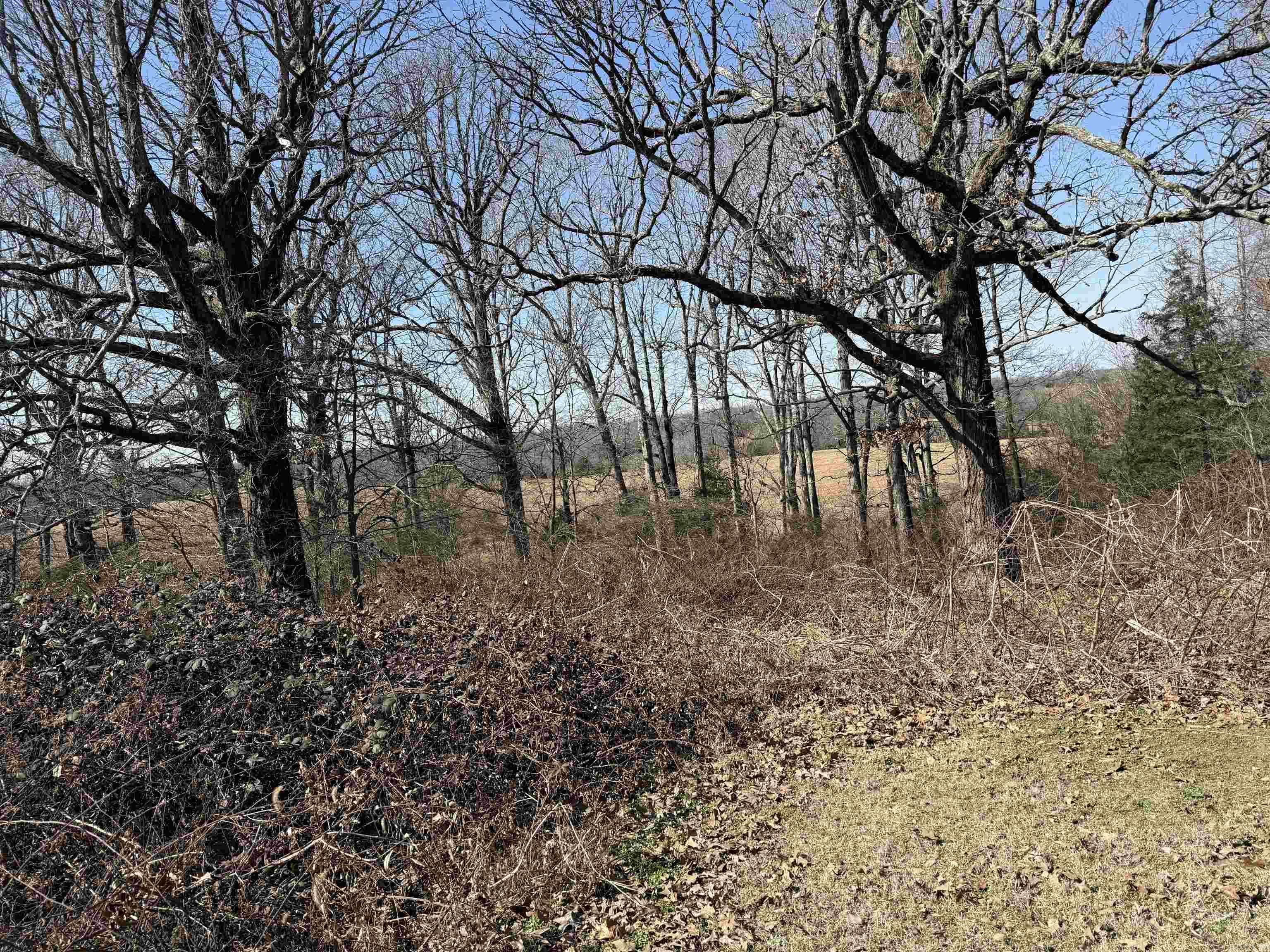 COUNTY - Residential