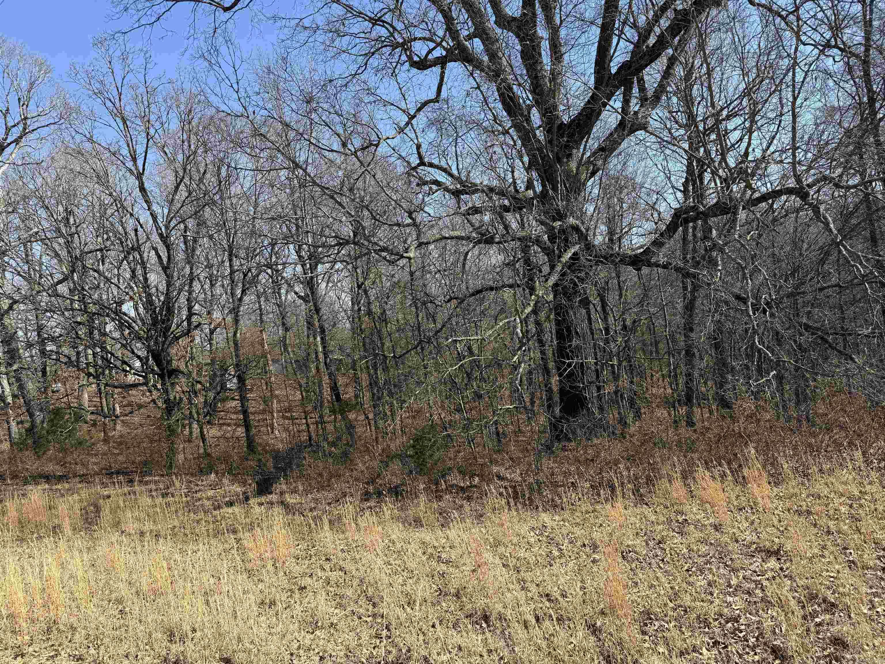 COUNTY - Residential