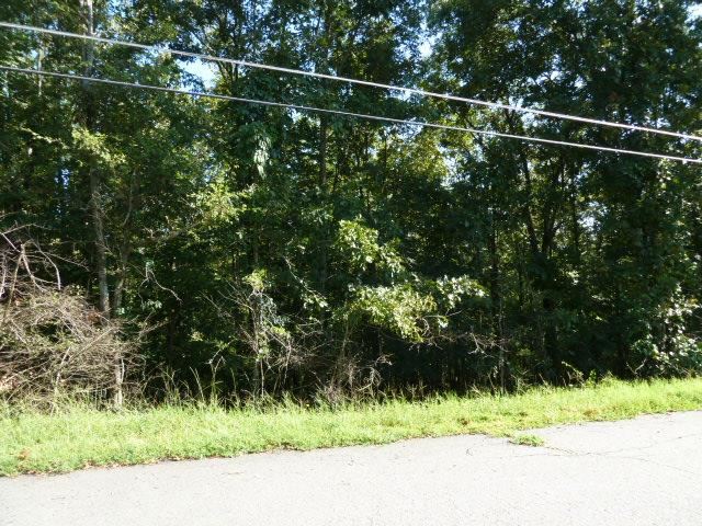 Willow Lake Estates - Land