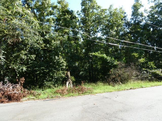 Willow Lake Estates - Land