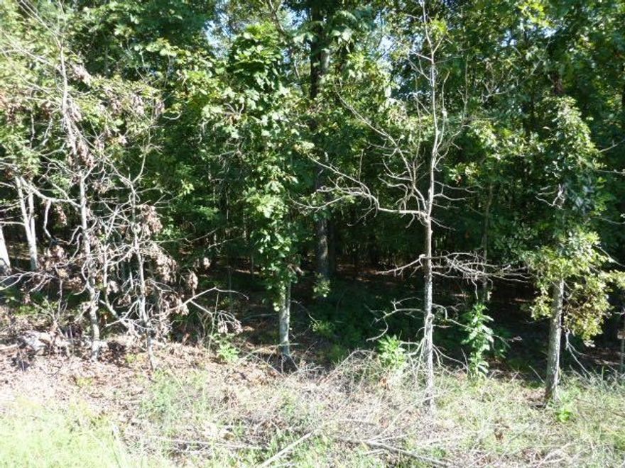 The last of a beautiful subdivision, hidden away in the heart of Cabot. 1.941 Acres on cul-de-sac street. Water available, community park, allows for lake access.