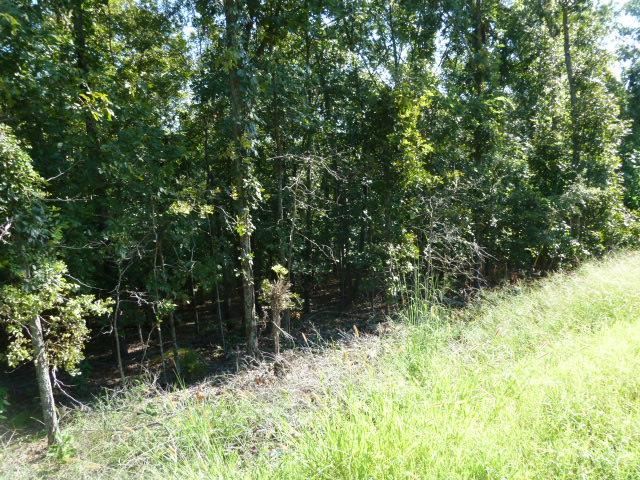 Willow Lake Estates - Land