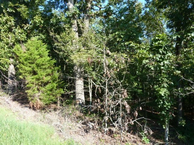 Willow Lake Estates - Land