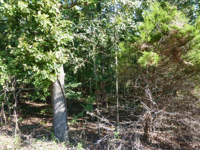 Willow Lake Estates - Land