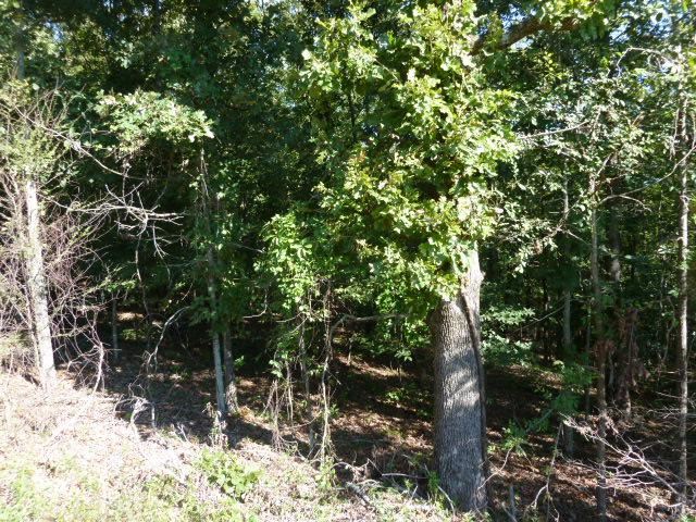 Willow Lake Estates - Land