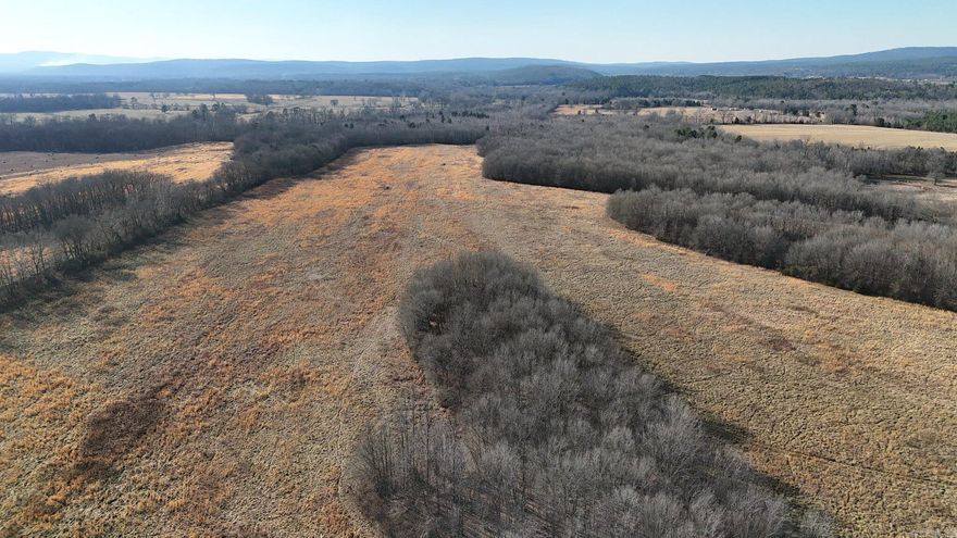 Beautiful 80± acre river bottom place near Parks, Arkansas, with a great mix of open hay meadow and scattered timber fingers for shade and wildlife. Gentle terrain and rich bottomland soils make this tract ideal for running cattle or putting up hay, with long, usable fields that are easy to work. Small pond and wooded draws create natural travel corridors for deer and other game, giving you excellent stand sites and a true combo cattle–hunting property. Access right on Eastwood Road in rural Scott County puts you close to town but still tucked away in the country, surrounded by other pasture and timber tracts. No mineral rights.