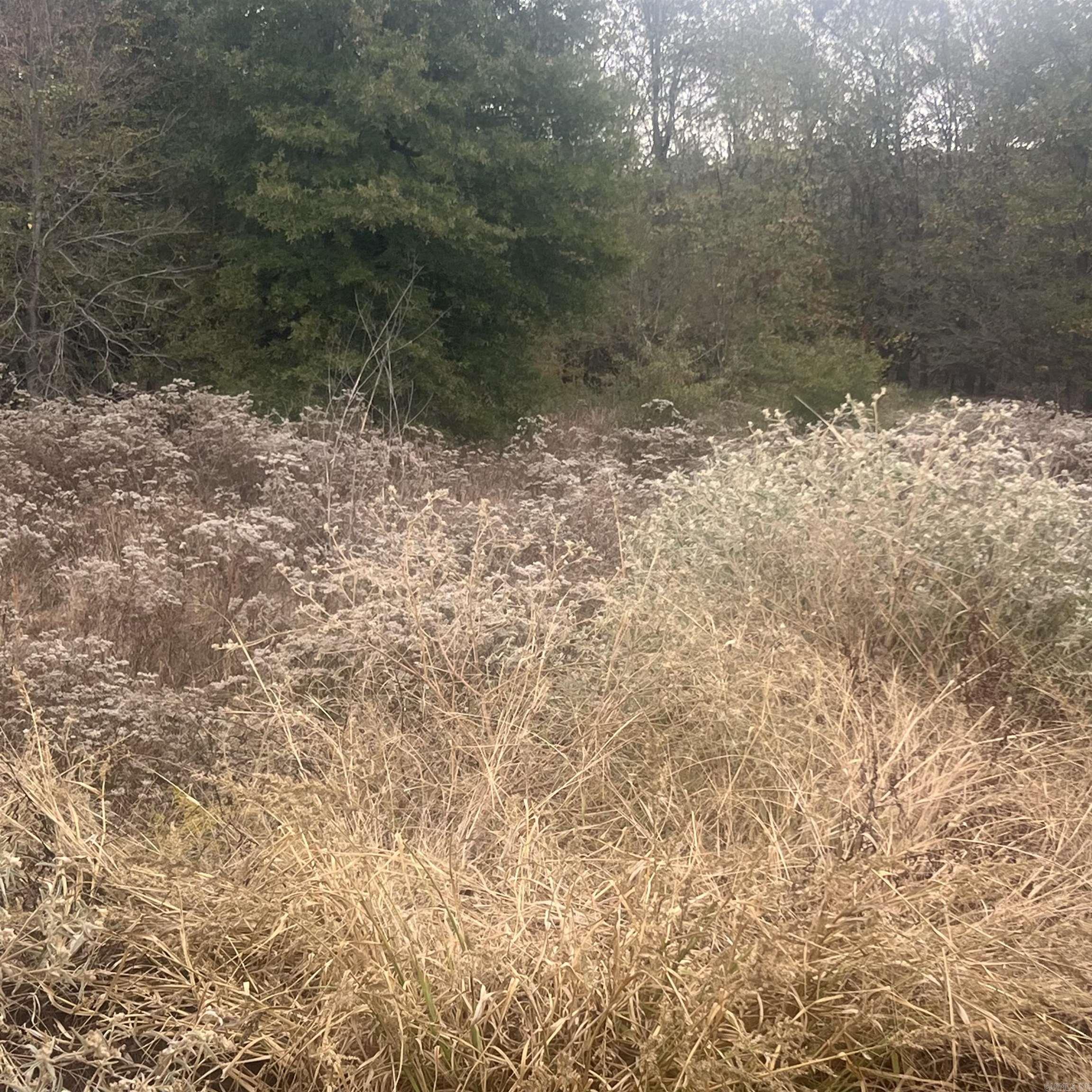 COUNTRY CLUB OF ARK THE - Land