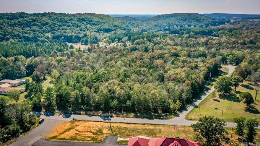 Wooded lot with minimal restrictions. Water and power at the road. You can build a shophouse/barndominium here. 1200 sq. ft. min. Mobile homes are allowed if they are newer than 10 years. You can have 2 homes on this land. Quitman schools Greenbrier address. Road frontage on 2 sides