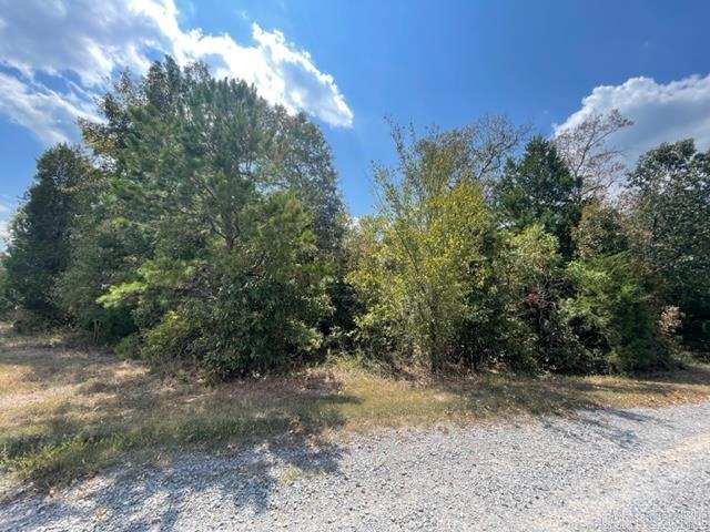 Tater Hill Estates - Land