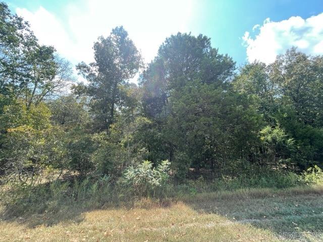 Tater Hill Estates - Land