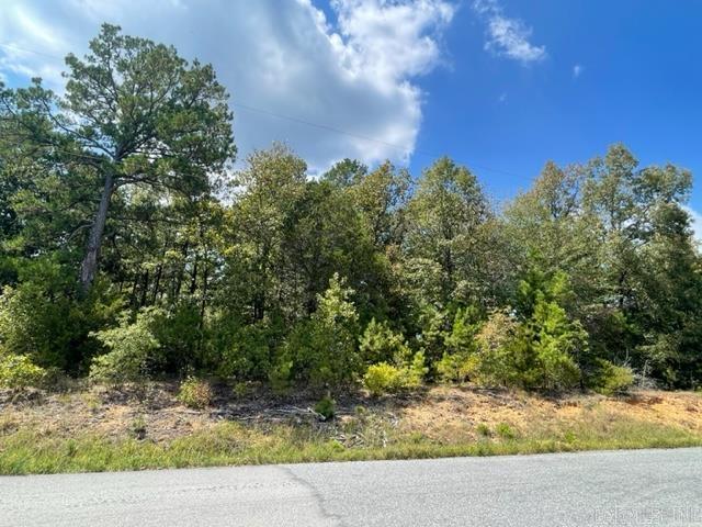 Tater Hill Estates - Land