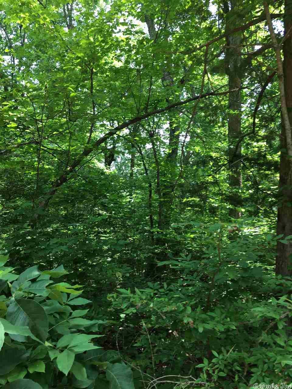 Nice little wooded 3 acre lot only 2.5 miles from the Court House. Rural water, and electric is available. This would make a great place to build a house, rental cabin, treehouse or park an RV. Located on a dead end road with only one house past it. With a little clearing you should have a great view.
